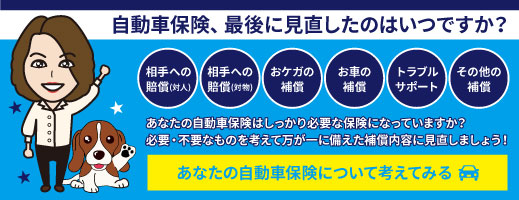 あなたの自動車保険について考えてみる