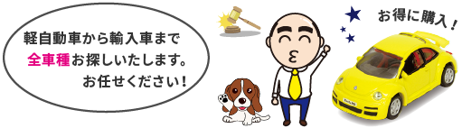 軽自動車から輸入車まで全車種お探しいたします。お任せください！